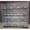 Venta al por mayor de Pigeon Racing Products Supplier